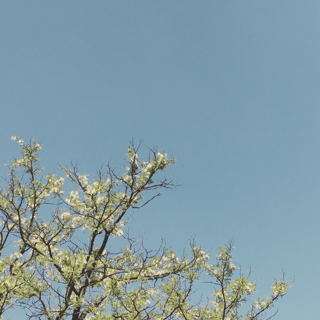 Combustion of Expectation